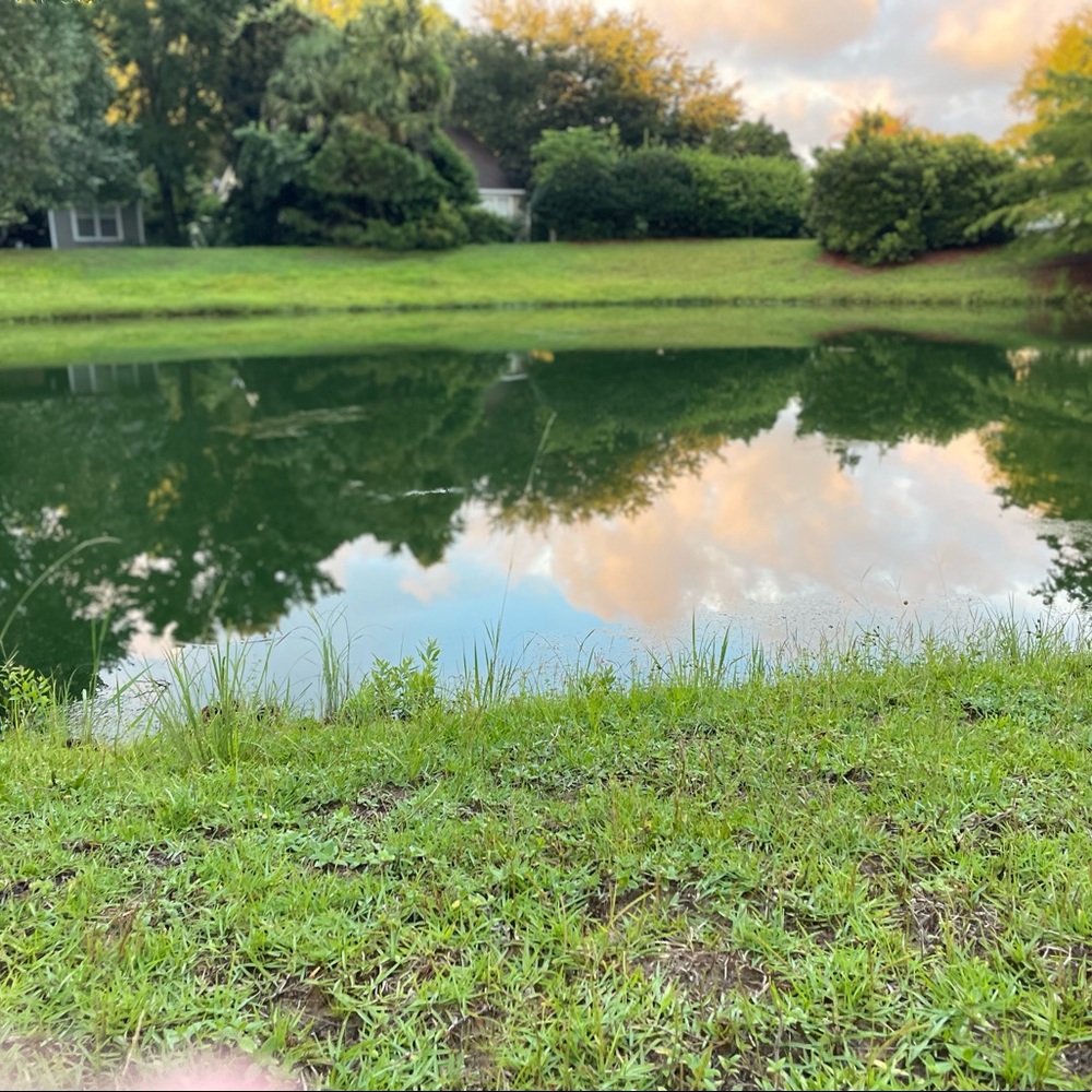 Meet your Posher, Catherine